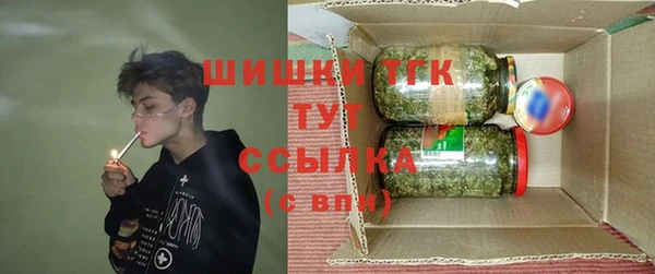 амф Верея