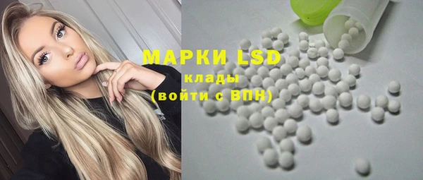 амф Верея
