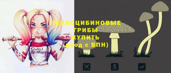 амф Верея