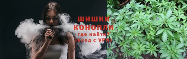 амф Верея